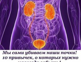 Миниатюра к статье Мы сами убиваем наши почки! 10 привычек, о которых нужно навсегда забыть!