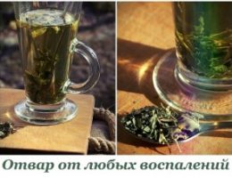 Миниатюра к статье Отвар от любых воспалений